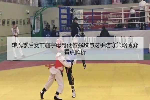雄鹿季后赛前瞻字母哥低位强攻与对手防守策略博弈看点解析